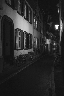 Fototagebuch Februar 2019