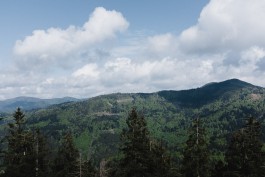 Schwarzwald
