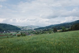 Schwarzwald