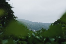 Philosophenweg Heidelberg
