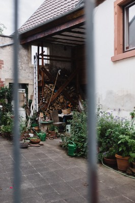 Wachenheim an der Weinstraße