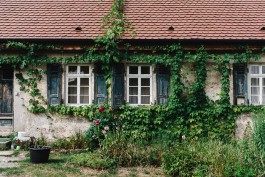 Maienfels bei Wuestenrot