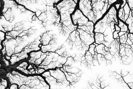 Christian Bartle | Fotografie