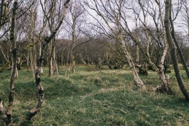 Christian Bartle | Fotografie