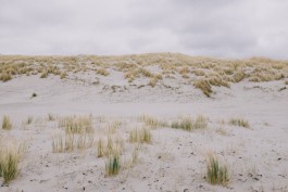 Christian Bartle | Fotografie