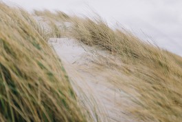 Christian Bartle | Fotografie