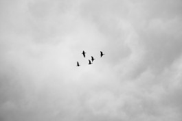 Christian Bartle | Fotografie