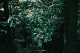 Christian Bartle | Fotografie