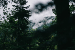 Christian Bartle | Fotografie