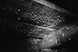 Christian Bartle | Fotografie