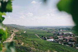 Christian Bartle | Fotografie