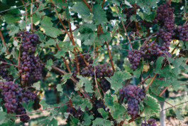 Christian Bartle | Fotografie