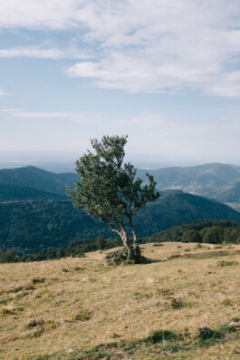 Christian Bartle | Fotografie