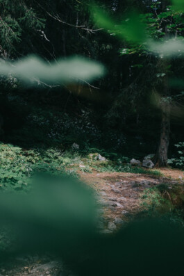 Christian Bartle | Fotografie