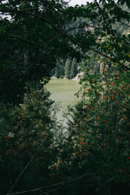 Christian Bartle | Fotografie