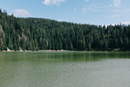 Christian Bartle | Fotografie