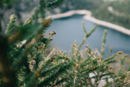 Christian Bartle | Fotografie