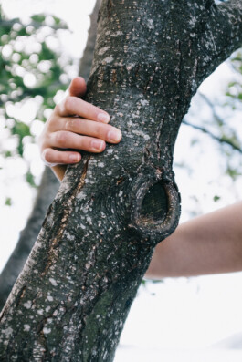 Christian Bartle | Fotografie