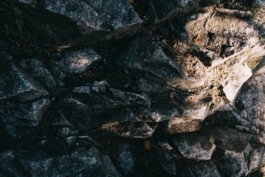 Christian Bartle | Fotografie