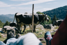 Christian Bartle | Fotografie