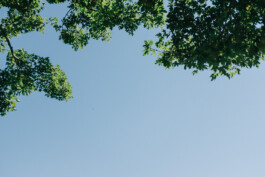 Christian Bartle | Fotografie