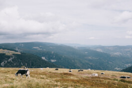 Christian Bartle | Fotografie