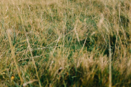 Christian Bartle | Fotografie