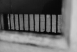 Christian Bartle | Fotografie