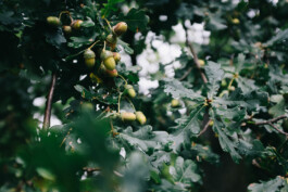 Christian Bartle | Fotografie