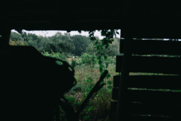 Christian Bartle | Fotografie