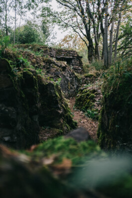 Christian Bartle | Fotografie