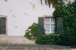 Christian Bartle | Fotografie