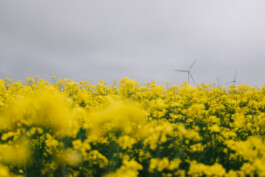 Christian Bartle | Fotografie