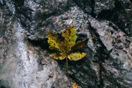 Christian Bartle | Fotografie