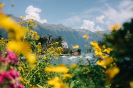 Iseltwald am Brienzersee 