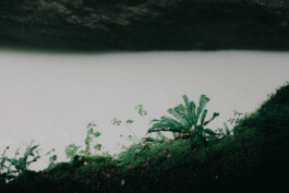 Christian Bartle | Fotografie