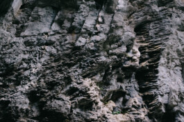 Christian Bartle | Fotografie