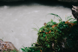 Christian Bartle | Fotografie