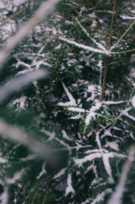 Christian Bartle | Fotografie