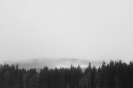 Christian Bartle | Fotografie