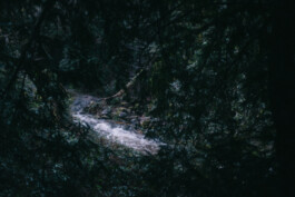 Christian Bartle | Fotografie