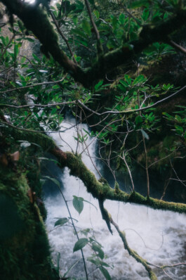 Christian Bartle | Fotografie