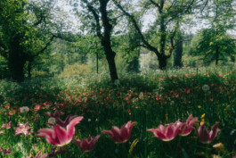 Christian Bartle | Fotografie