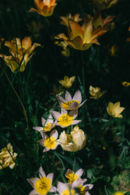 Christian Bartle | Fotografie